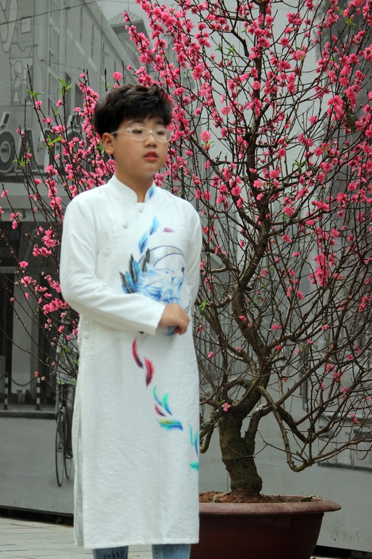 Nguoi Ha Noi dien ao dai, khoe dang tren pho bich hoa Phung Hung-Hinh-8