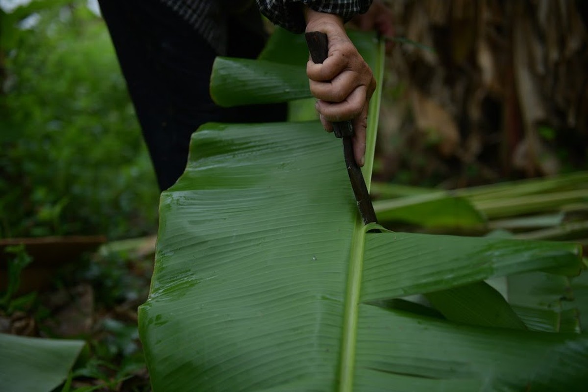 Nghe doc nhat vo nhi: Be la chuoi, 