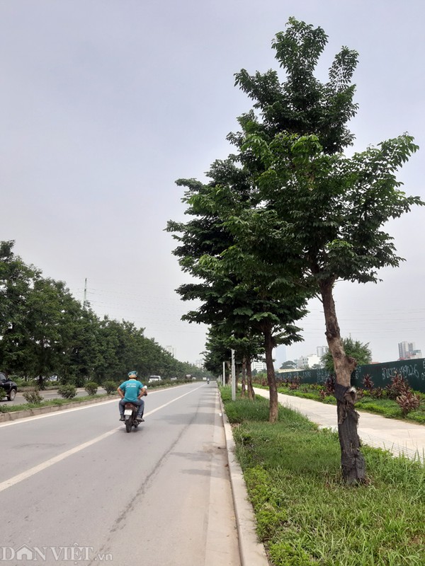 Can canh tuyen duong dai 3,5 km that thoat hang tram ty dong-Hinh-4