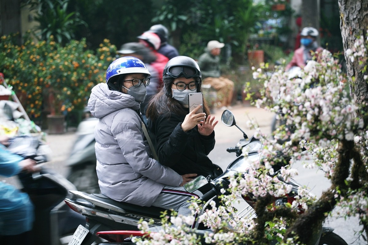 Mai trang boc reu kin than het gia chuc trieu dong/goc o cho hoa Tet Ha Noi-Hinh-12