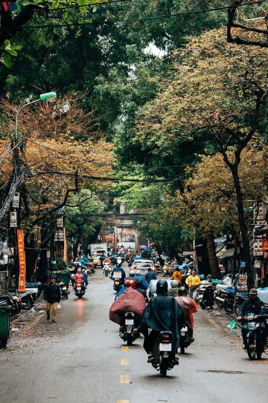 Pho phuong Ha Noi vang ve sau khuyen cao “han che ra duong“-Hinh-15