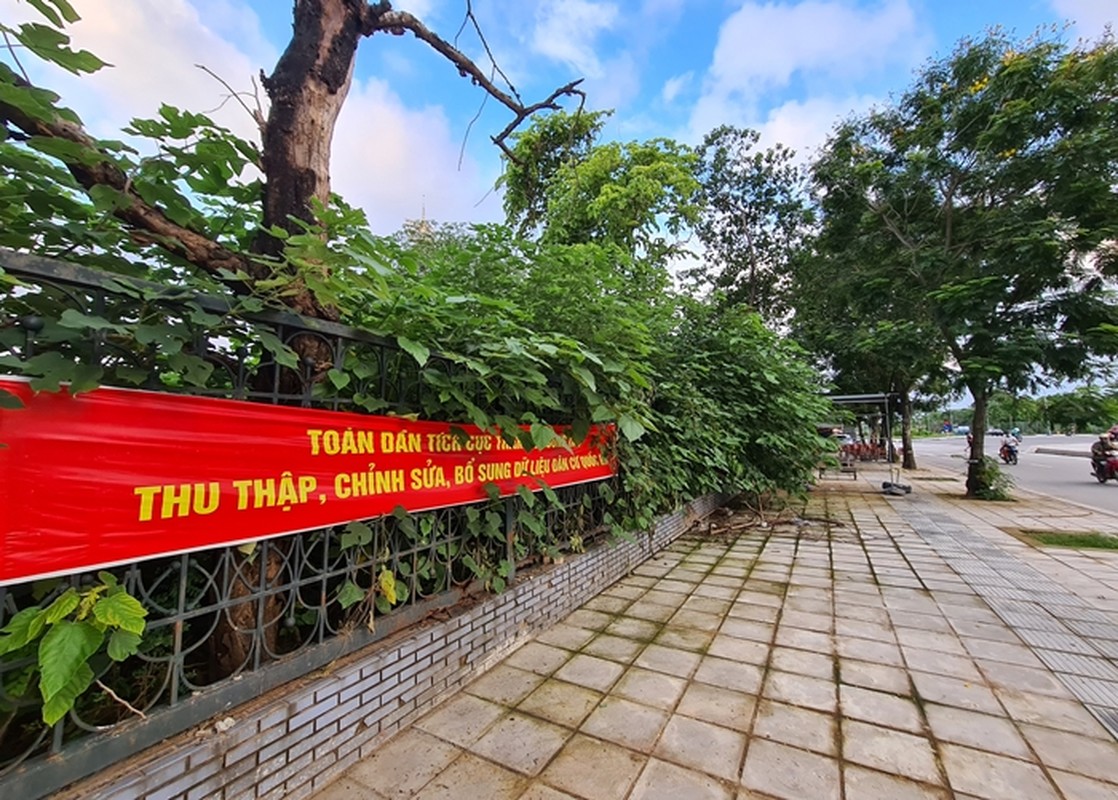 Canh nhech nhac o du an cai tao hang tram ty dong cua quan Nam Tu Liem, HN-Hinh-17
