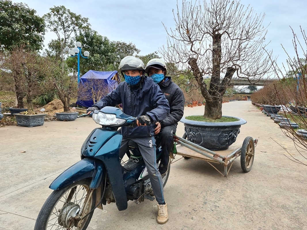 Dao khung gia 100 trieu xuong pho Ha Noi cho khach mua choi Tet-Hinh-13