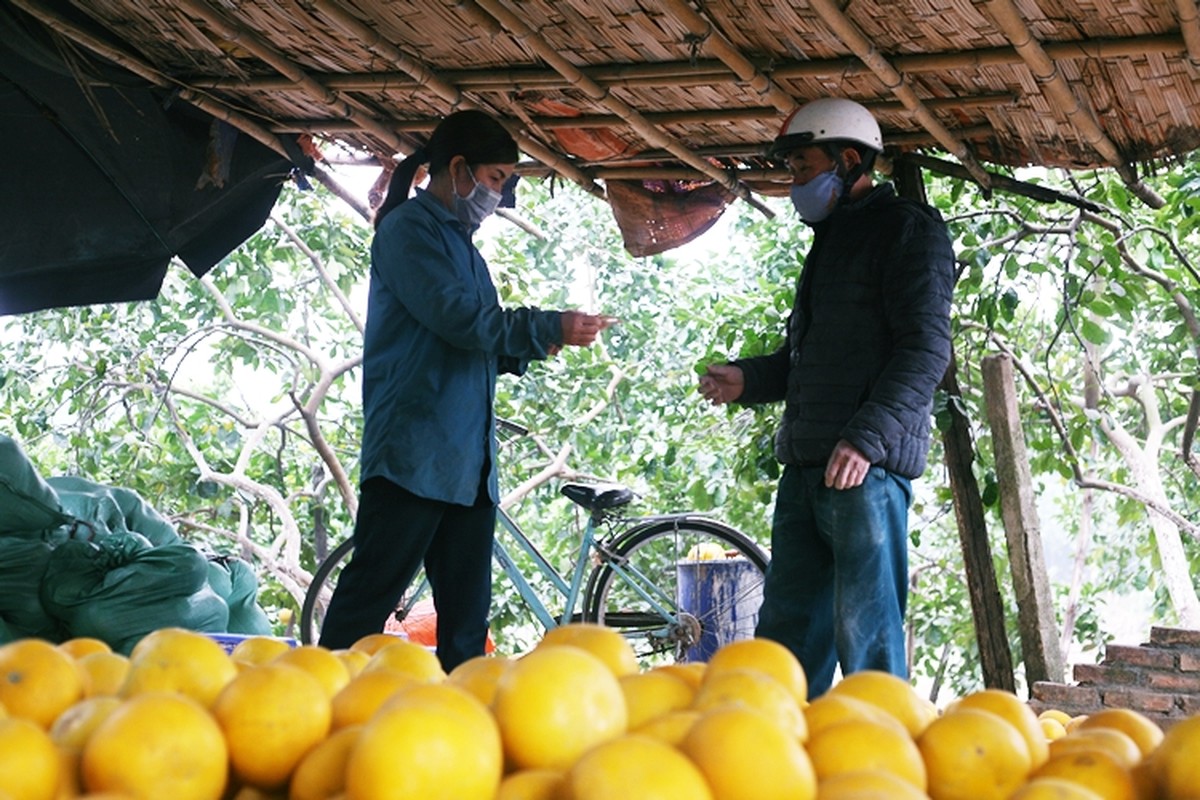 Nong dan trong buoi Dien o Ha Noi kiem tien ty vu Tet-Hinh-8