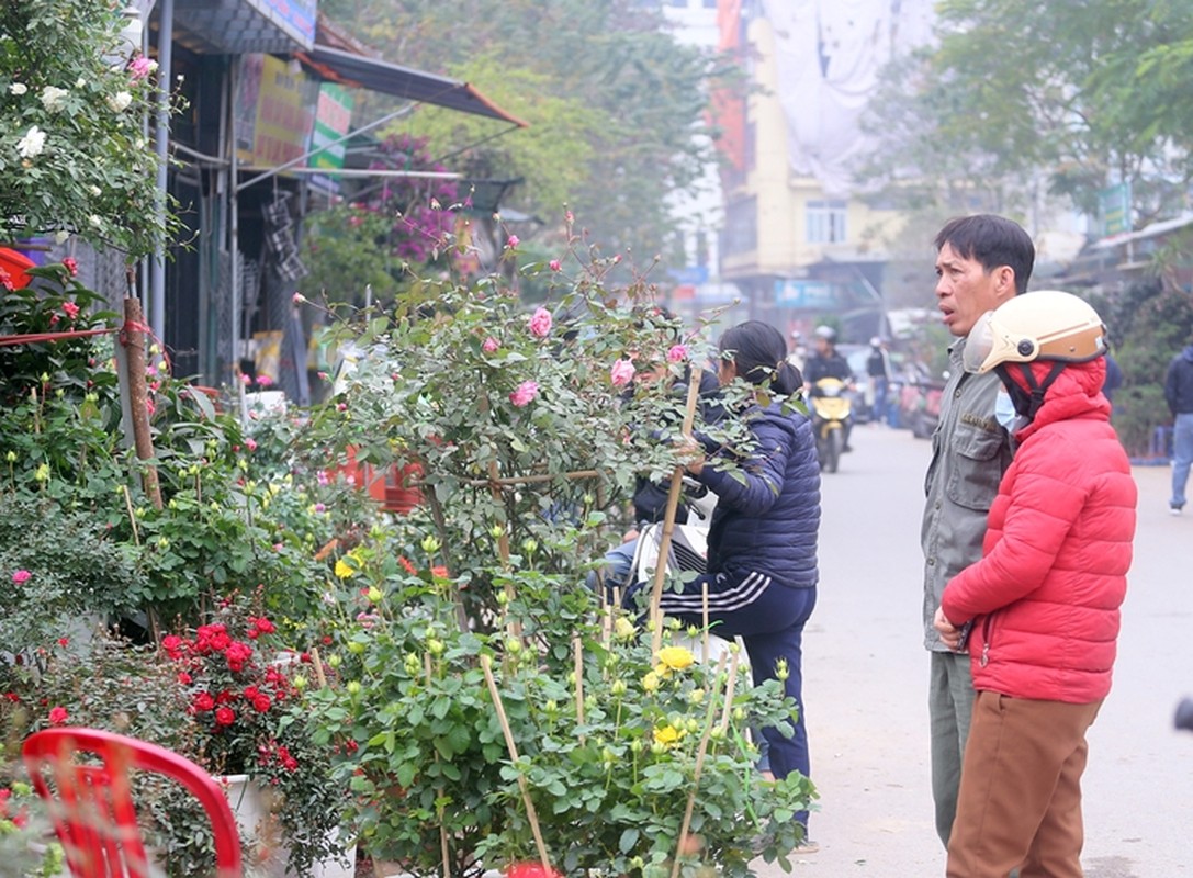 Nguoi dan Ha Noi “tranh nhau” mua cay canh o cho hoa Van Phuc-Hinh-11