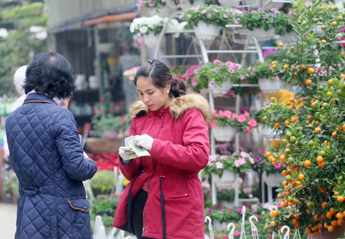 Nguoi dan Ha Noi “tranh nhau” mua cay canh o cho hoa Van Phuc-Hinh-12