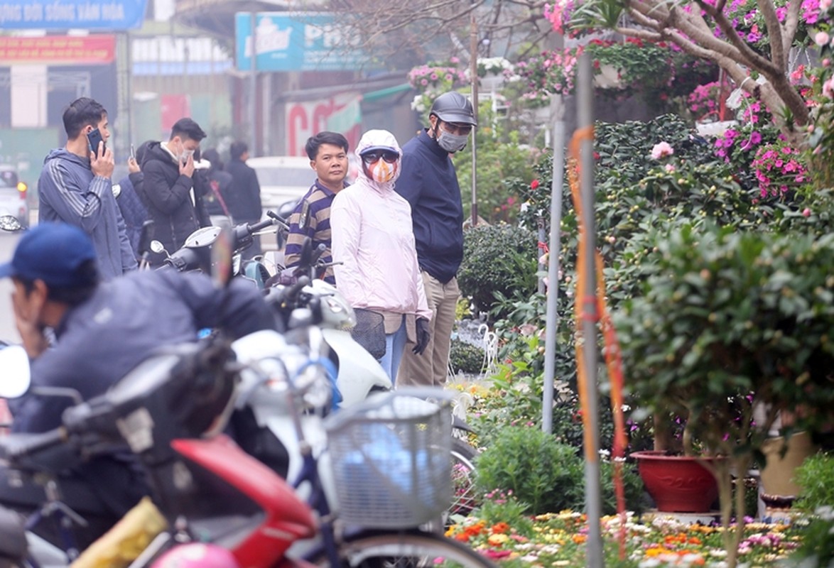 Nguoi dan Ha Noi “tranh nhau” mua cay canh o cho hoa Van Phuc