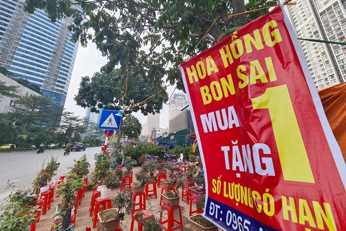 Ha Noi: Tieu thuong dua nhau ha gia, xa hoa Tet som-Hinh-3