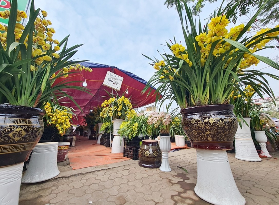 Ha Noi: Tieu thuong dua nhau ha gia, xa hoa Tet som-Hinh-7