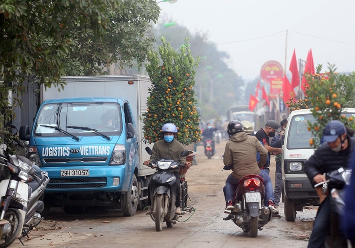 Cho hoa diu hiu... lang quat canh Tu Lien nhon nhip khach ra vao-Hinh-7