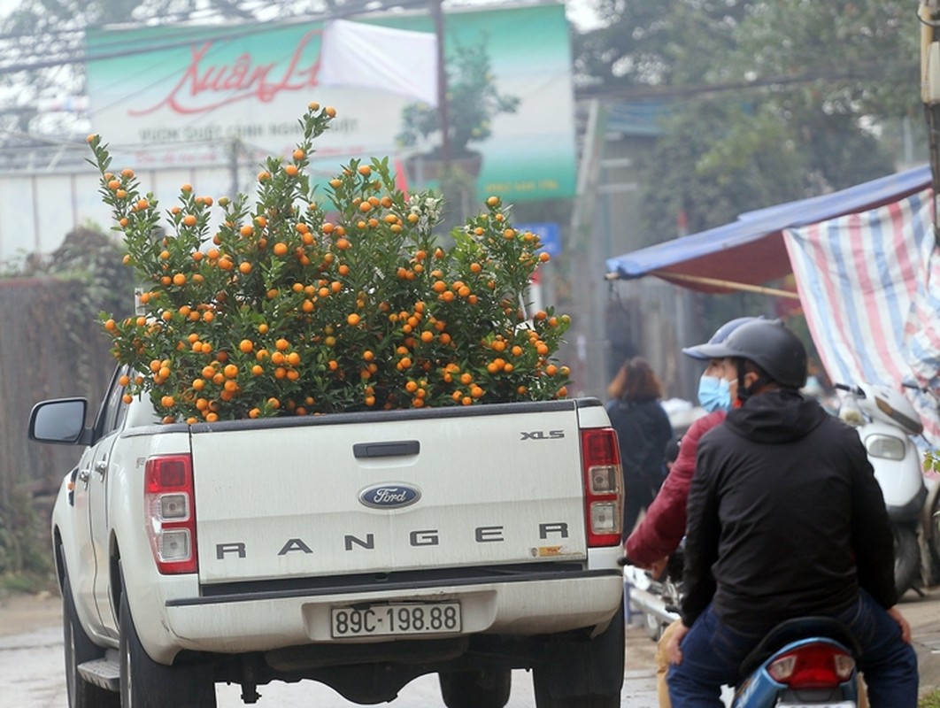 Cho hoa diu hiu... lang quat canh Tu Lien nhon nhip khach ra vao-Hinh-8