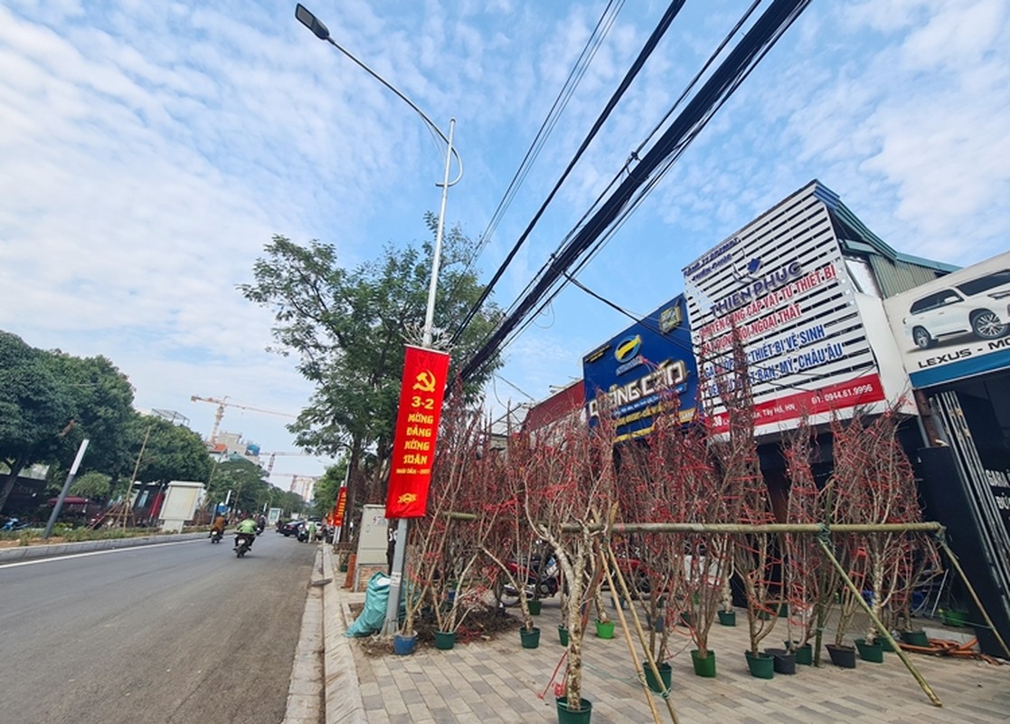 Ha Noi: Hinh anh tram lang o cho hoa Tet tren duong Lac Long Quan-Hinh-4