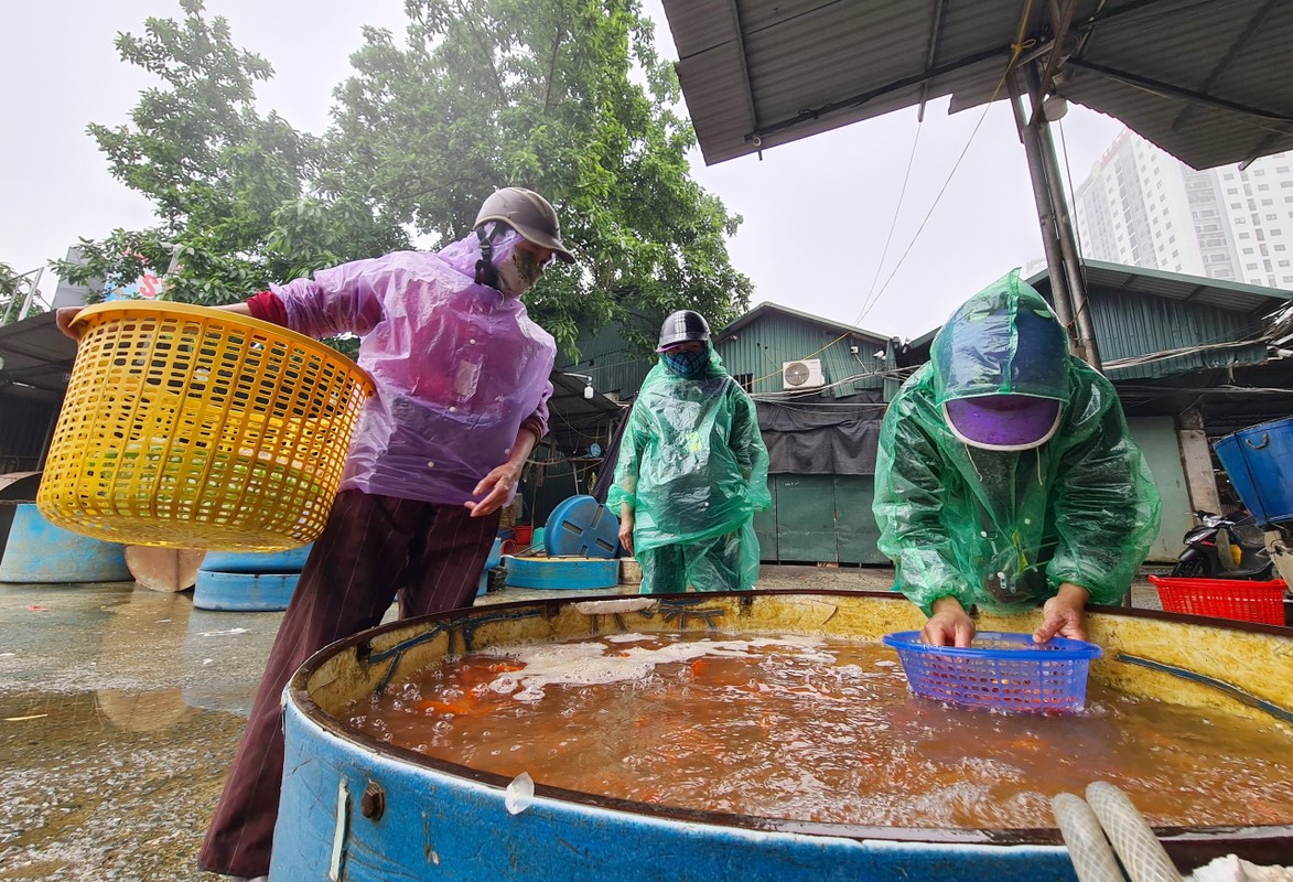 Ha Noi: Cho Yen So do ruc ca chep truoc ngay tien ong Cong ong Tao ve troi-Hinh-11