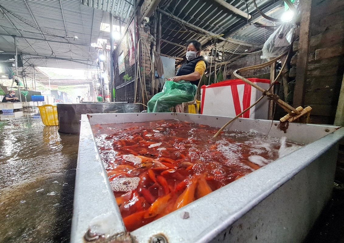 Ha Noi: Cho Yen So do ruc ca chep truoc ngay tien ong Cong ong Tao ve troi-Hinh-7