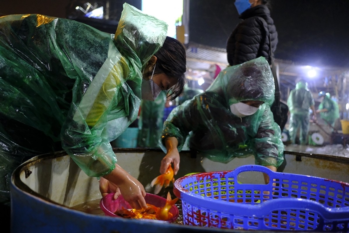 Ha Noi: Cho Yen So do ruc ca chep truoc ngay tien ong Cong ong Tao ve troi-Hinh-4