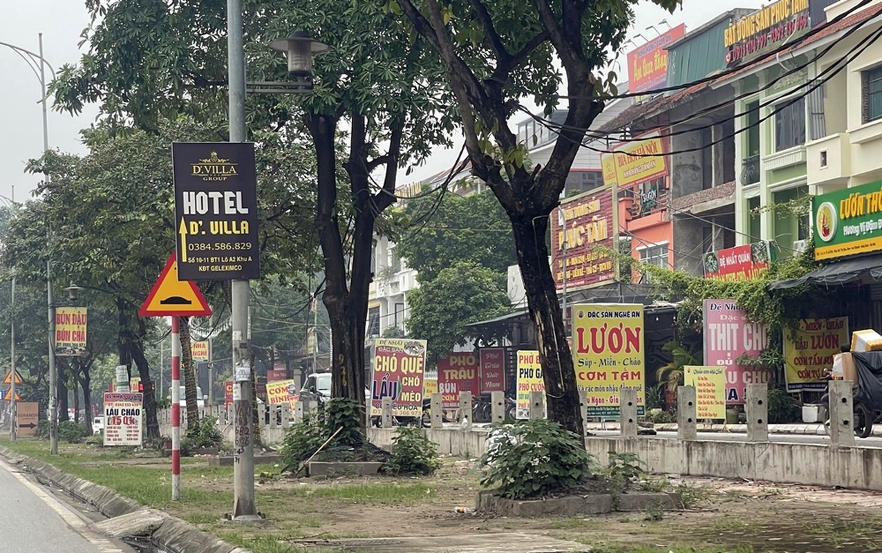 Ha Noi: Nhuc nhoi “nan” lan chiem via he duong Le Trong Tan de kinh doanh-Hinh-11