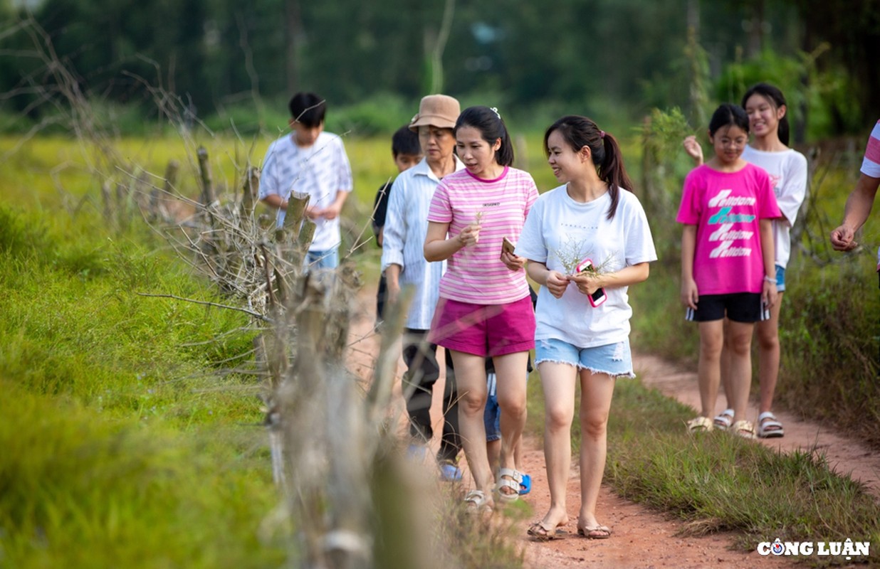 Hai Duong: Dep ngo ngang canh dong cay re o Con Son-Hinh-8