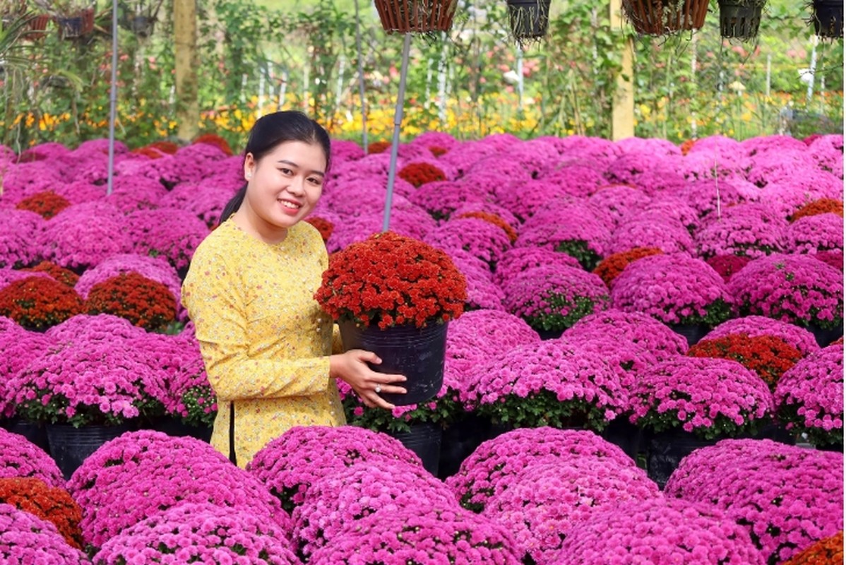 Ruc ro sac mau tai lang hoa lon nhat mien Tay-Hinh-7