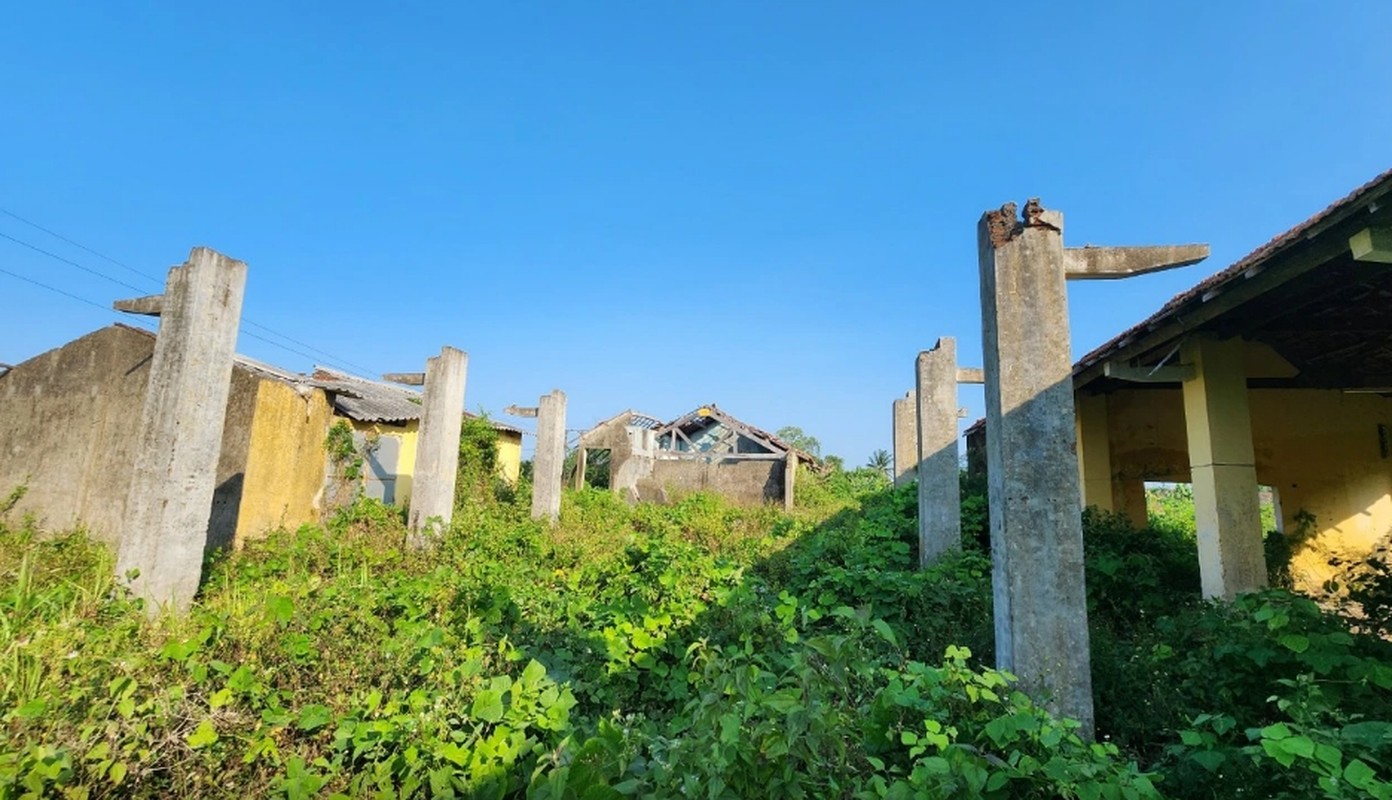 Ben trong cong ty noi giam doc, truong phong lam viec khong luong-Hinh-5