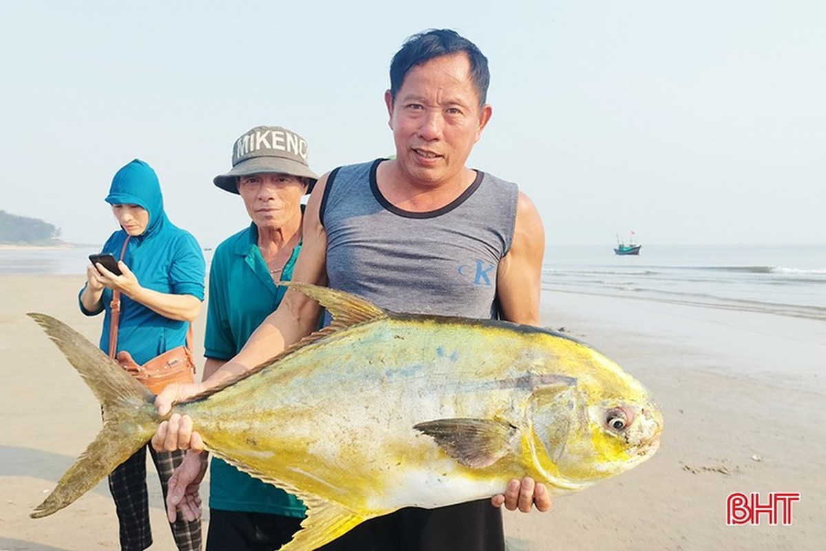 Trung me ca dac san, ngu dan Ha Tinh thu loi hon 300 trieu-Hinh-2