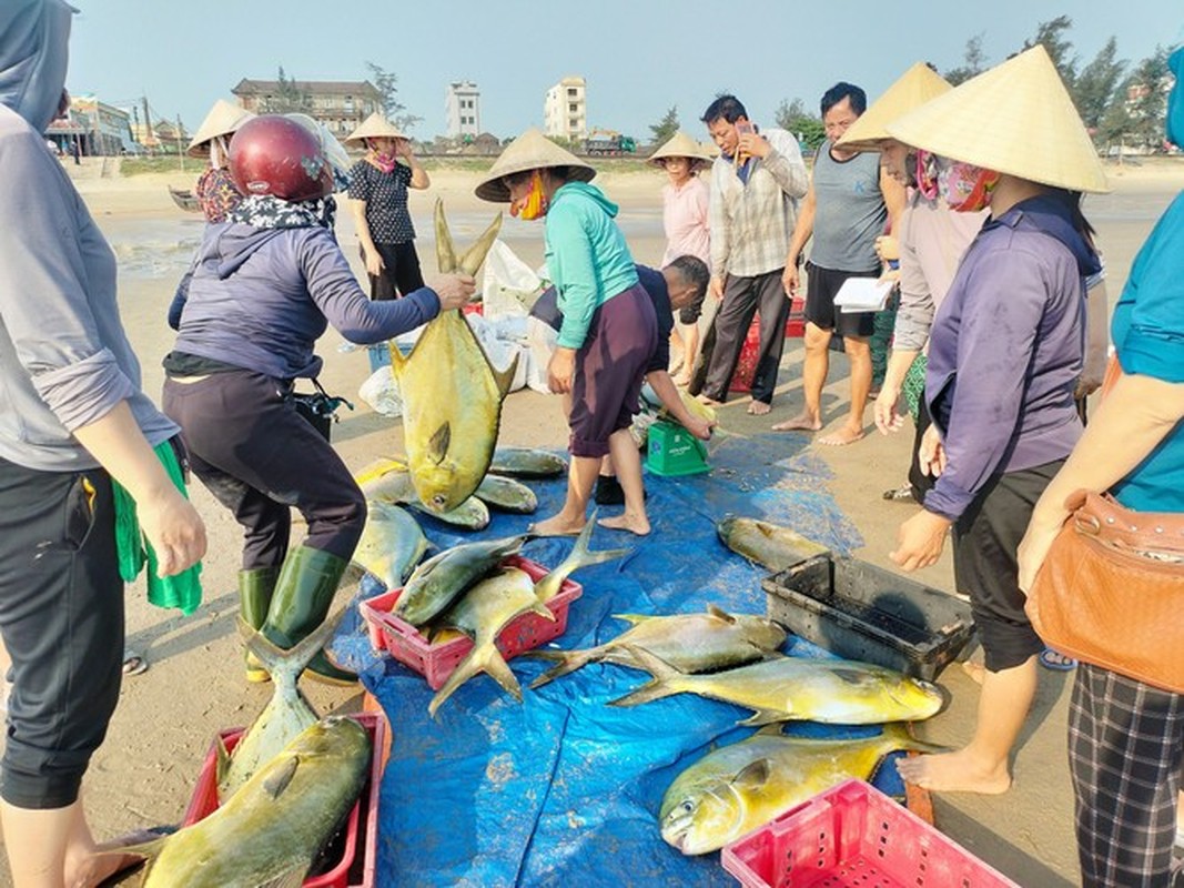 Trung me ca dac san, ngu dan Ha Tinh thu loi hon 300 trieu-Hinh-4