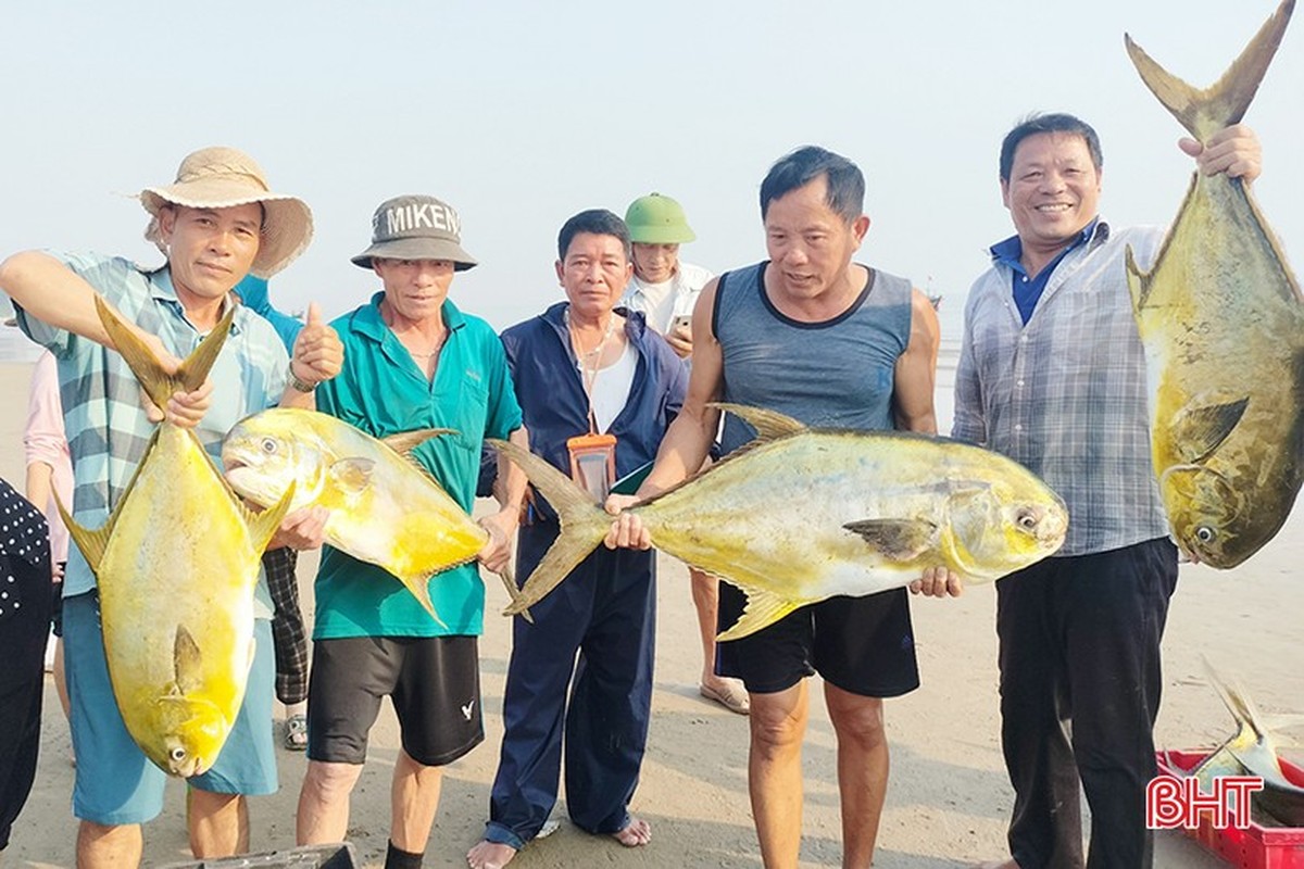 Trung me ca dac san, ngu dan Ha Tinh thu loi hon 300 trieu-Hinh-8