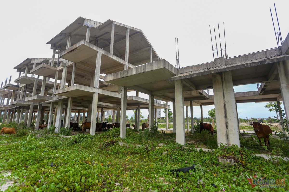 View - 	Cận cảnh dự án Homeland Paradise Village hơn 4.200 tỷ bỏ hoang
