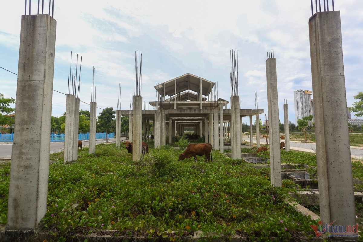 View - 	Cận cảnh dự án Homeland Paradise Village hơn 4.200 tỷ bỏ hoang