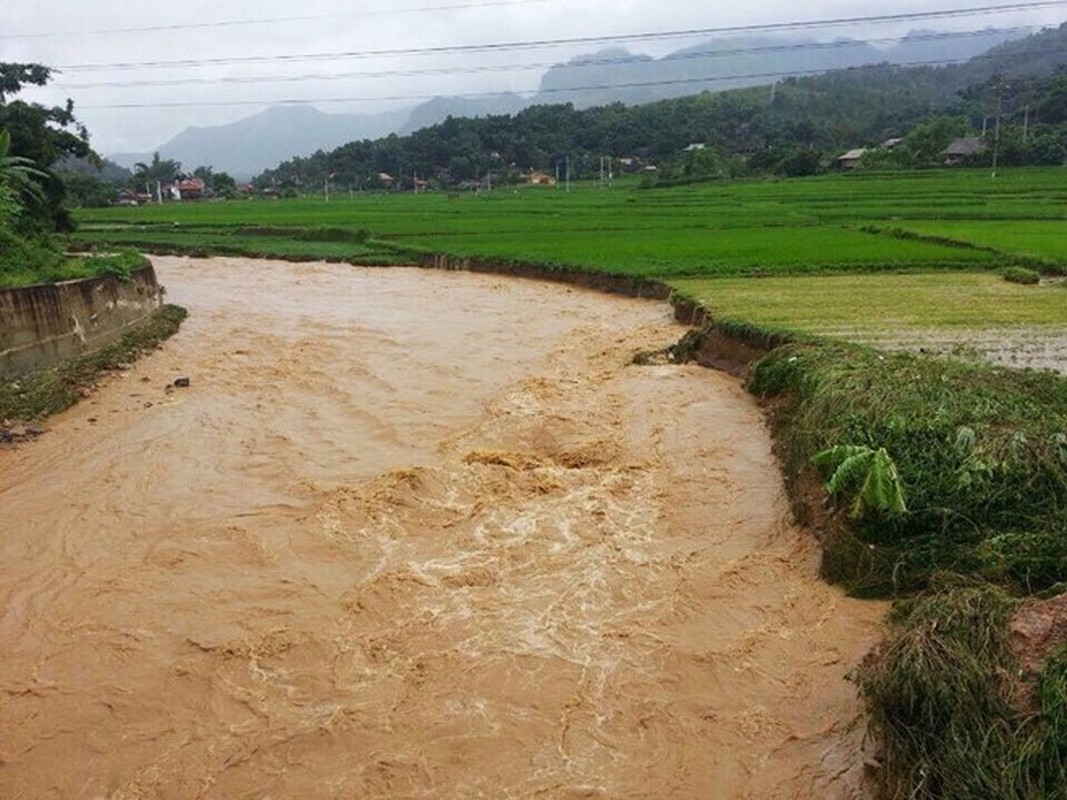 Hinh anh hai hung o Dien Bien sau con lu ong