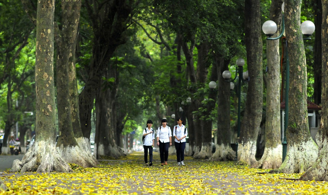 Nhung dia diem chup anh ly tuong ngay 2/9 o Ha Noi-Hinh-4