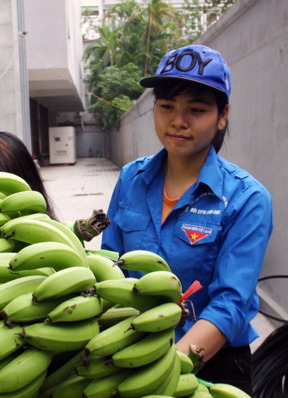 Ngam bong hong tinh nguyen “giai cuu” chuoi o Ha Noi-Hinh-7