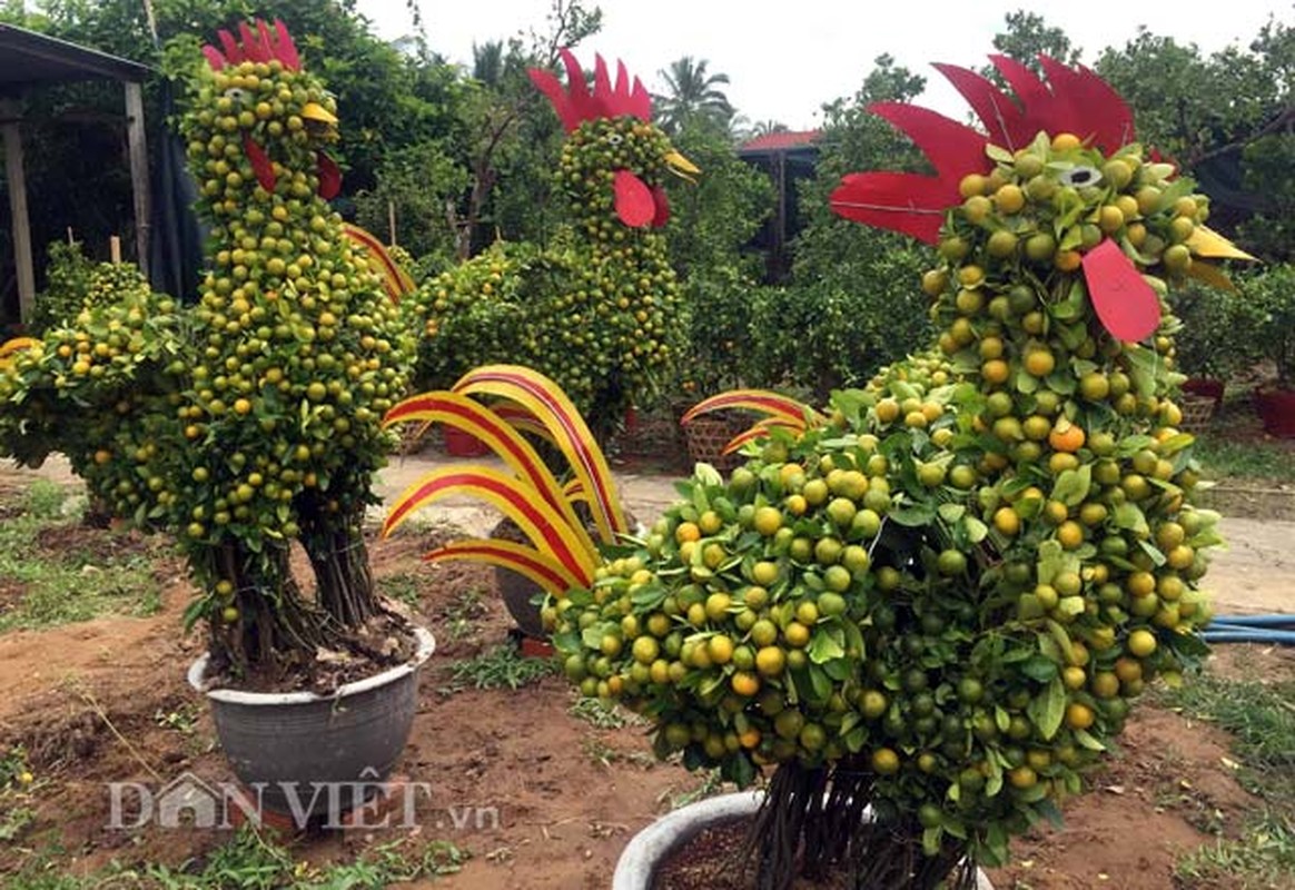 Doc la nong san in, khac, tia hinh ga trong tet Dinh Dau-Hinh-5