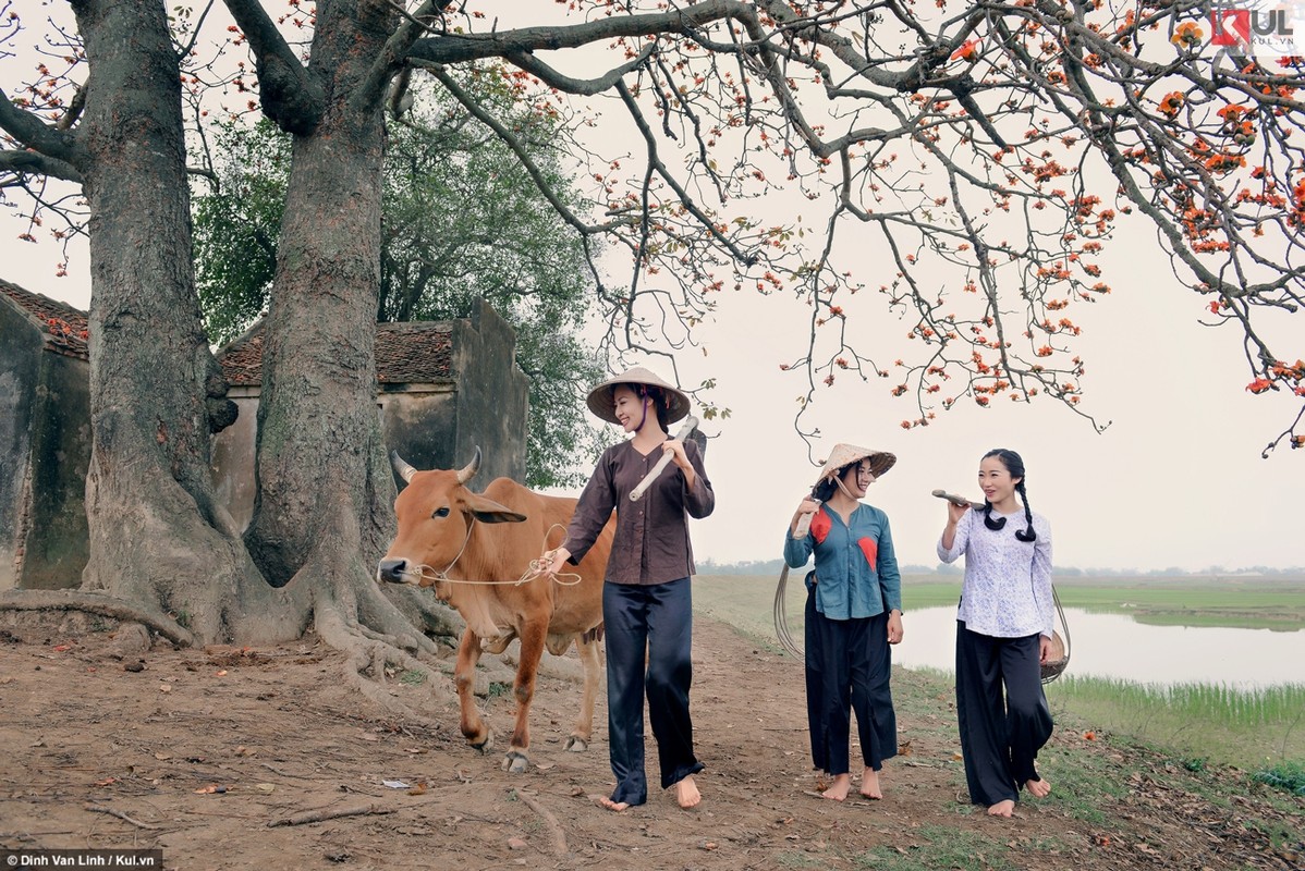 Thang Ba, hoa gao Bac Giang dep den nao long thieu nu-Hinh-14