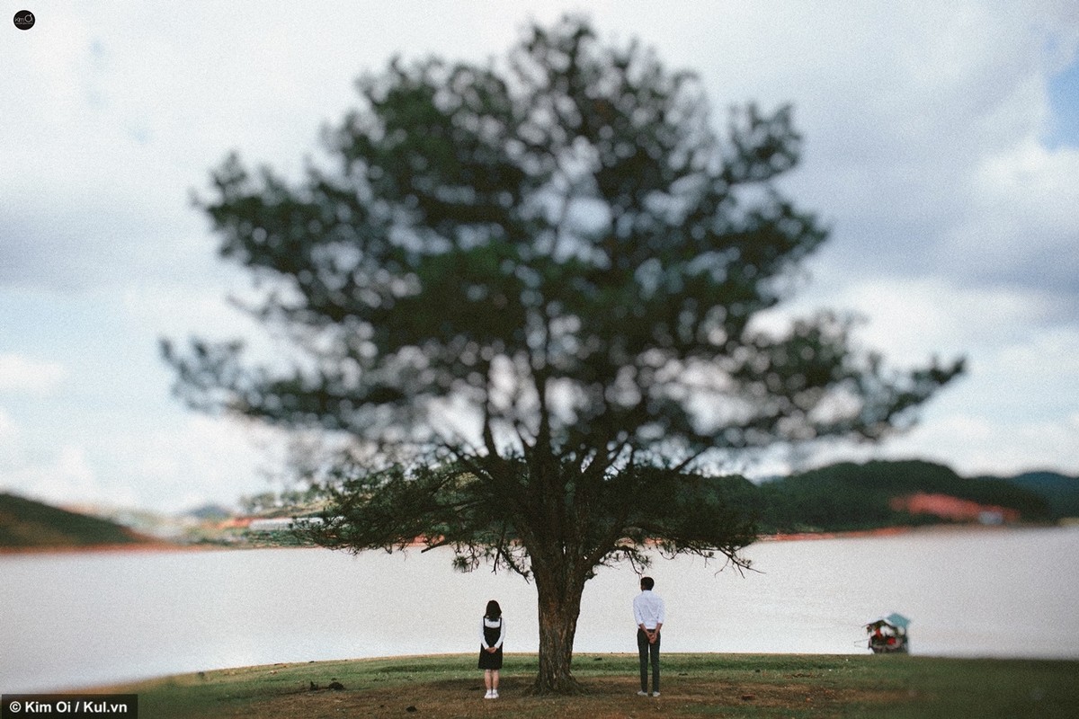 Ngam canh Da Lat lung linh cung cap doi 