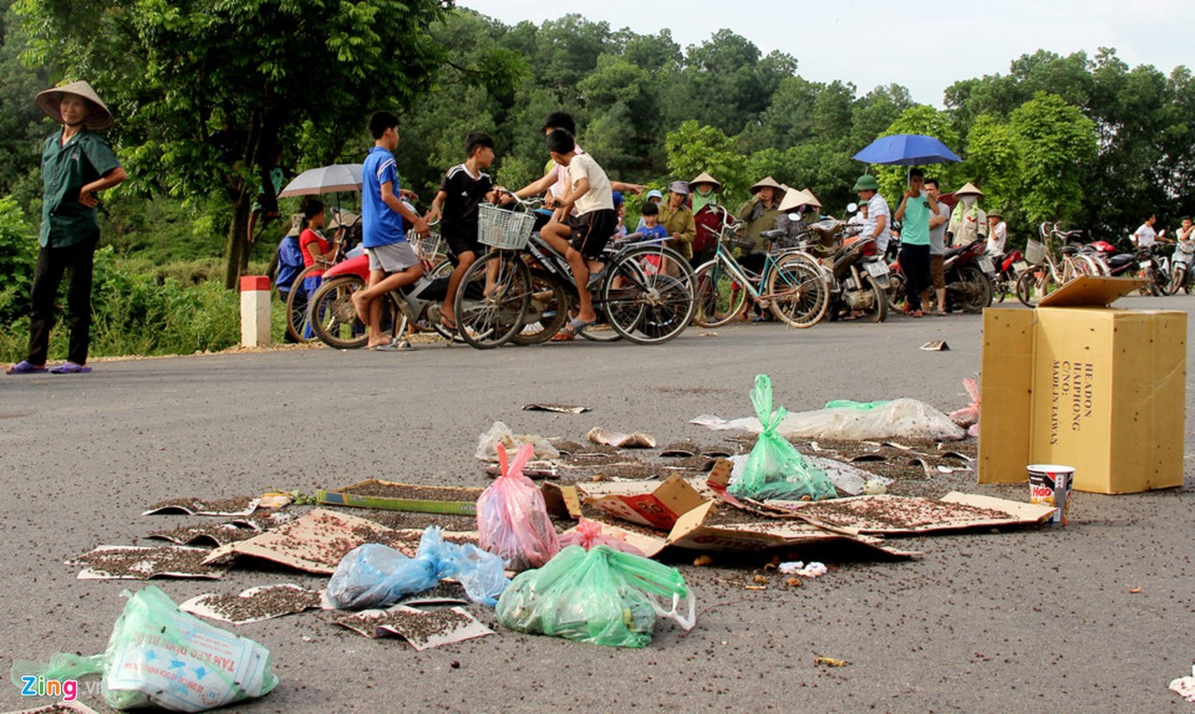 Anh: Dan Ha Noi mang hang kg ruoi ra duong chan xe cho rac-Hinh-2