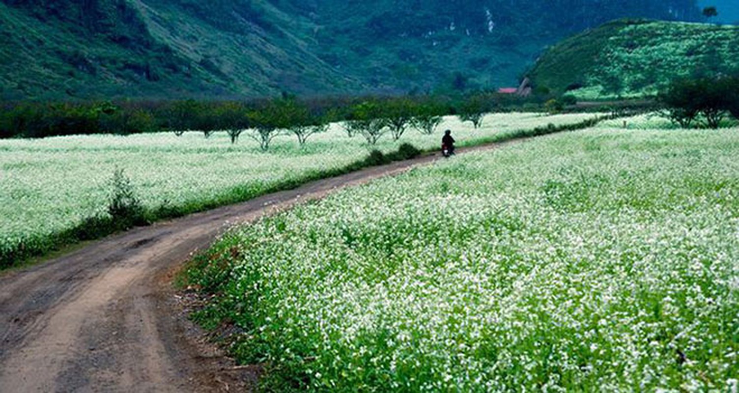 Khung canh “say long nguoi” cua cac cao nguyen noi tieng Viet Nam-Hinh-14