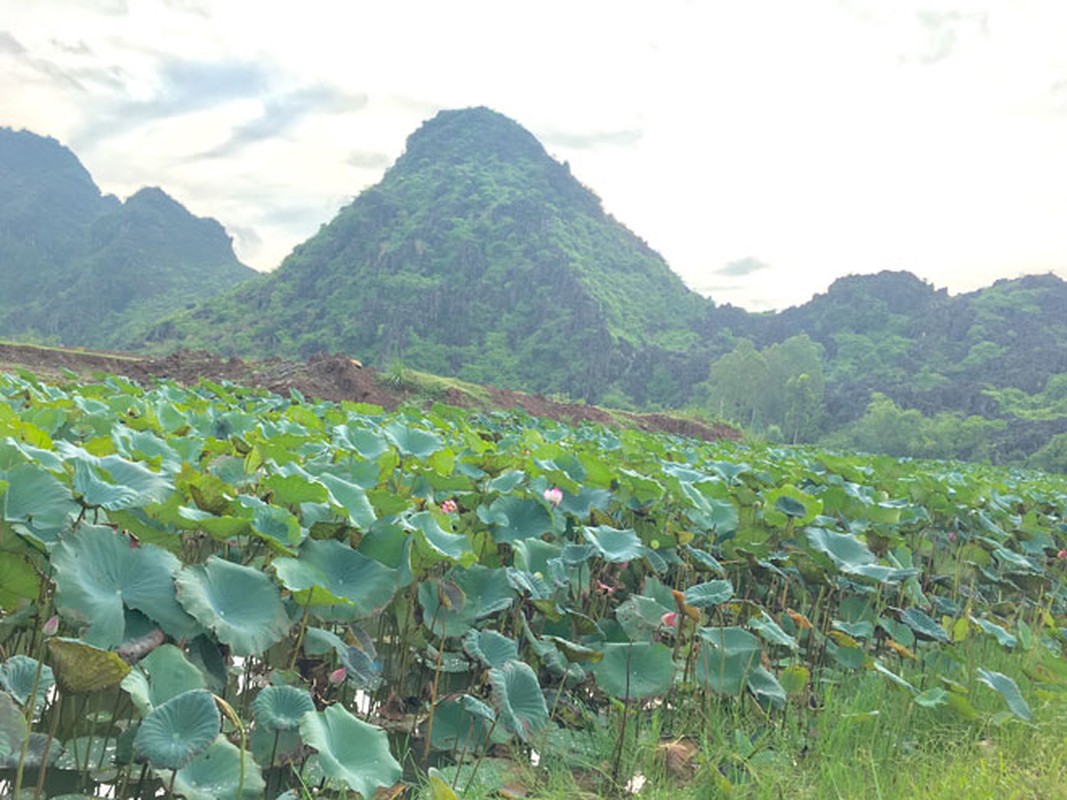 Ve &quot;Tuyet Tinh Coc&quot; Ninh Binh de chup anh nhu phim kiem hiep-Hinh-2