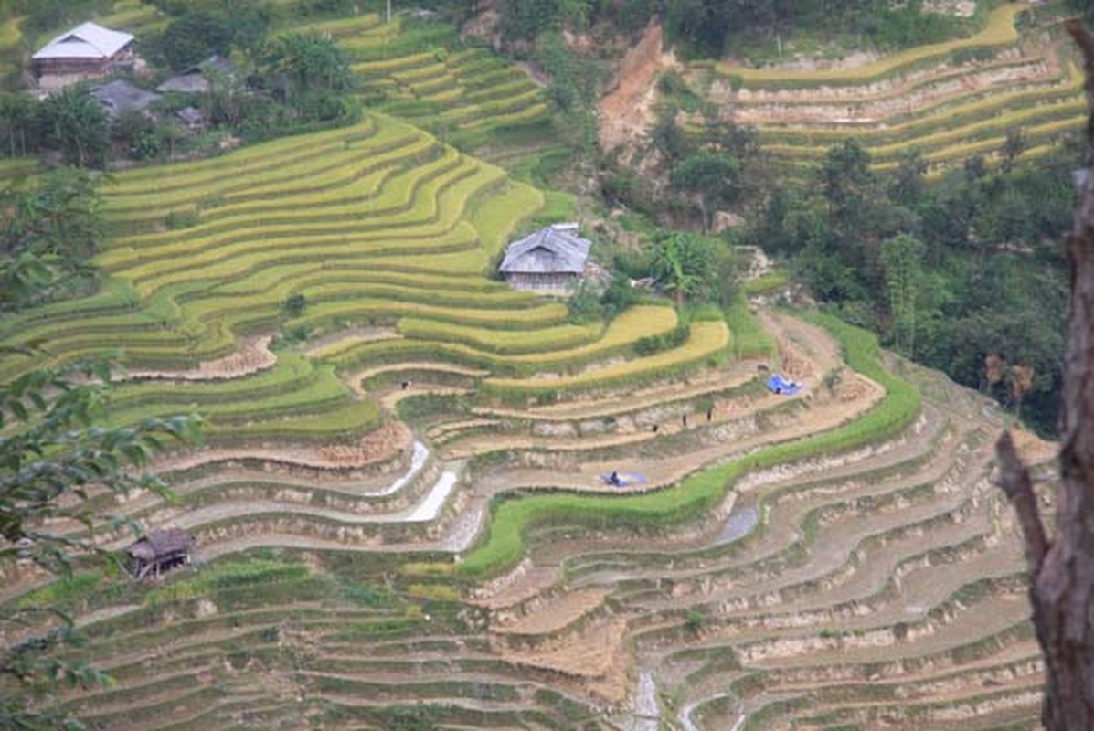 Ve dep kho cuong cua ruong bac thang o Hoang Su Phi-Hinh-7