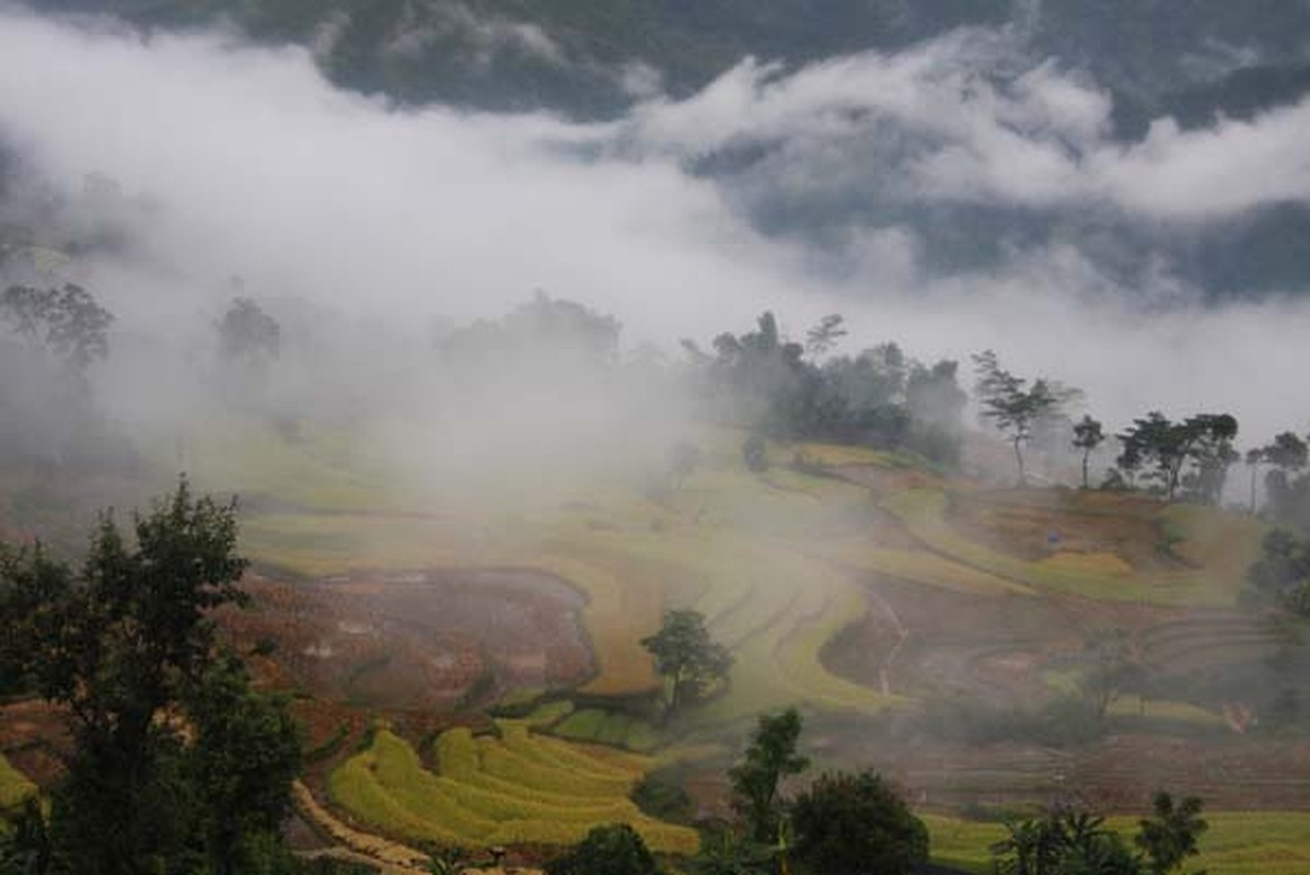 Ve dep kho cuong cua ruong bac thang o Hoang Su Phi-Hinh-8