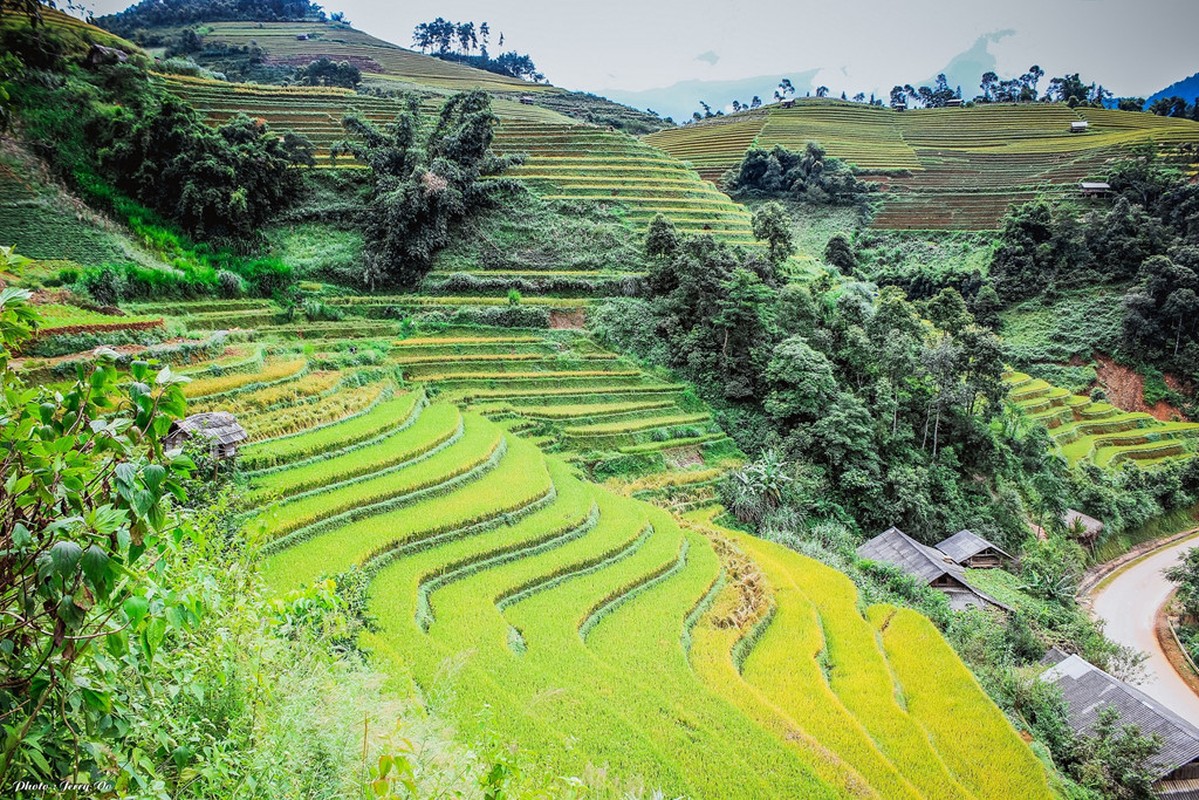 Ruong bac thang Mu Cang Chai tho mong mua lua chin-Hinh-9