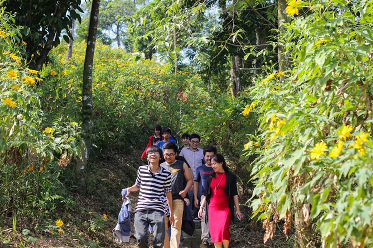 Ngam man nhan rung hoa da quy vang ruc o Ba Vi-Hinh-2