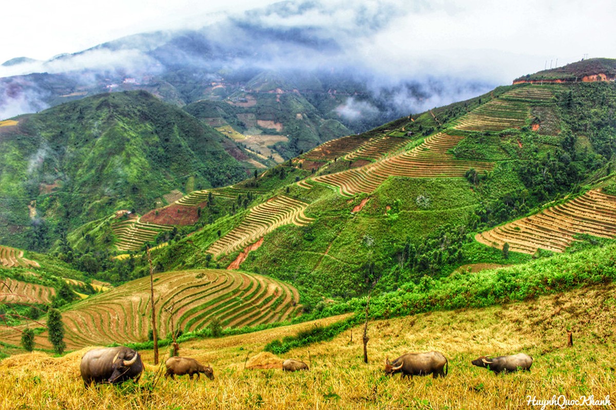 Bien may Ta Xua, chuyen di Tay Bac cho 2 ngay cuoi tuan-Hinh-9