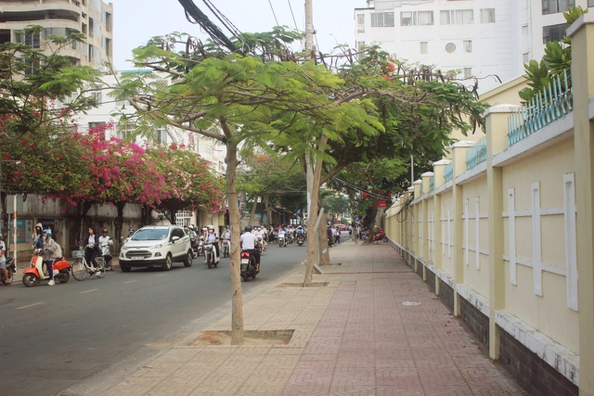 Sau loat vu ngo doc thuc pham, Nha Trang sach bong hang rong cong truong-Hinh-6