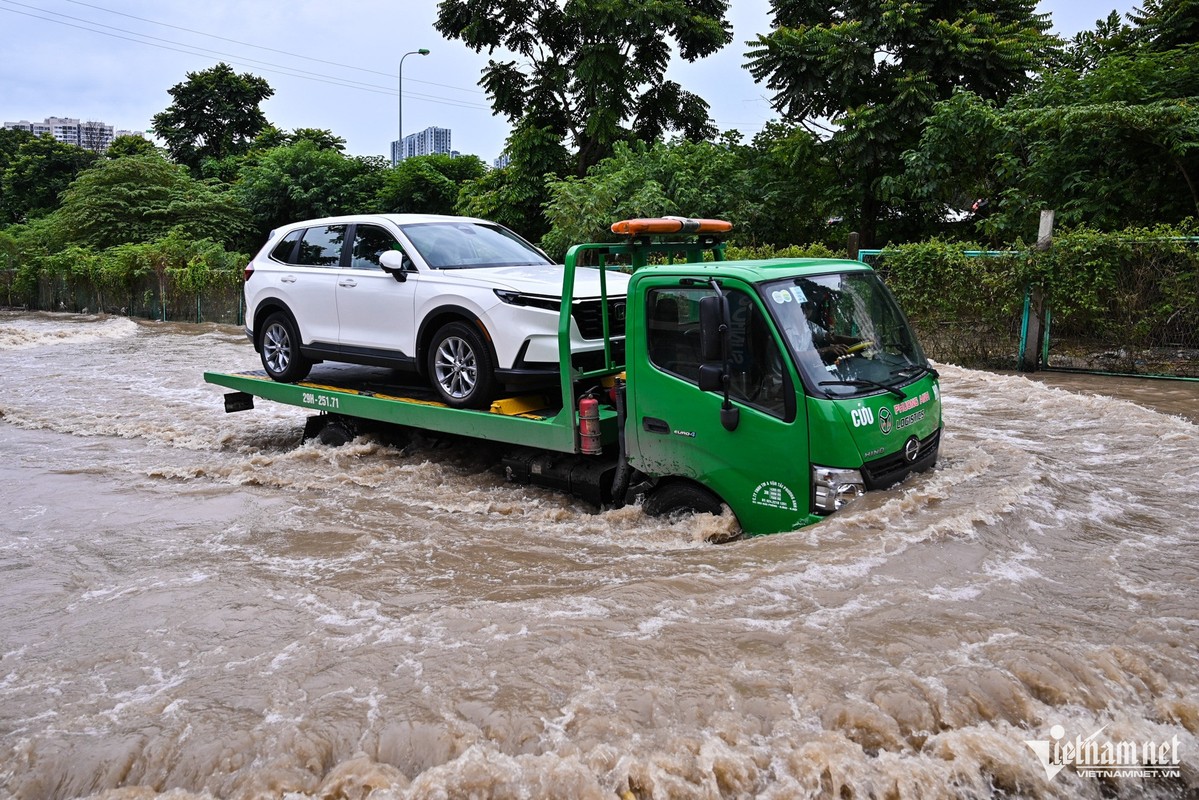 Can you wait for a long time to worry about Thang Long 5 days later-Picture-6