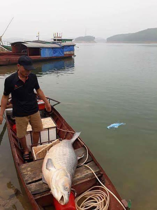 Can canh nhung lan nguoi dan bat duoc ca khung nhu 