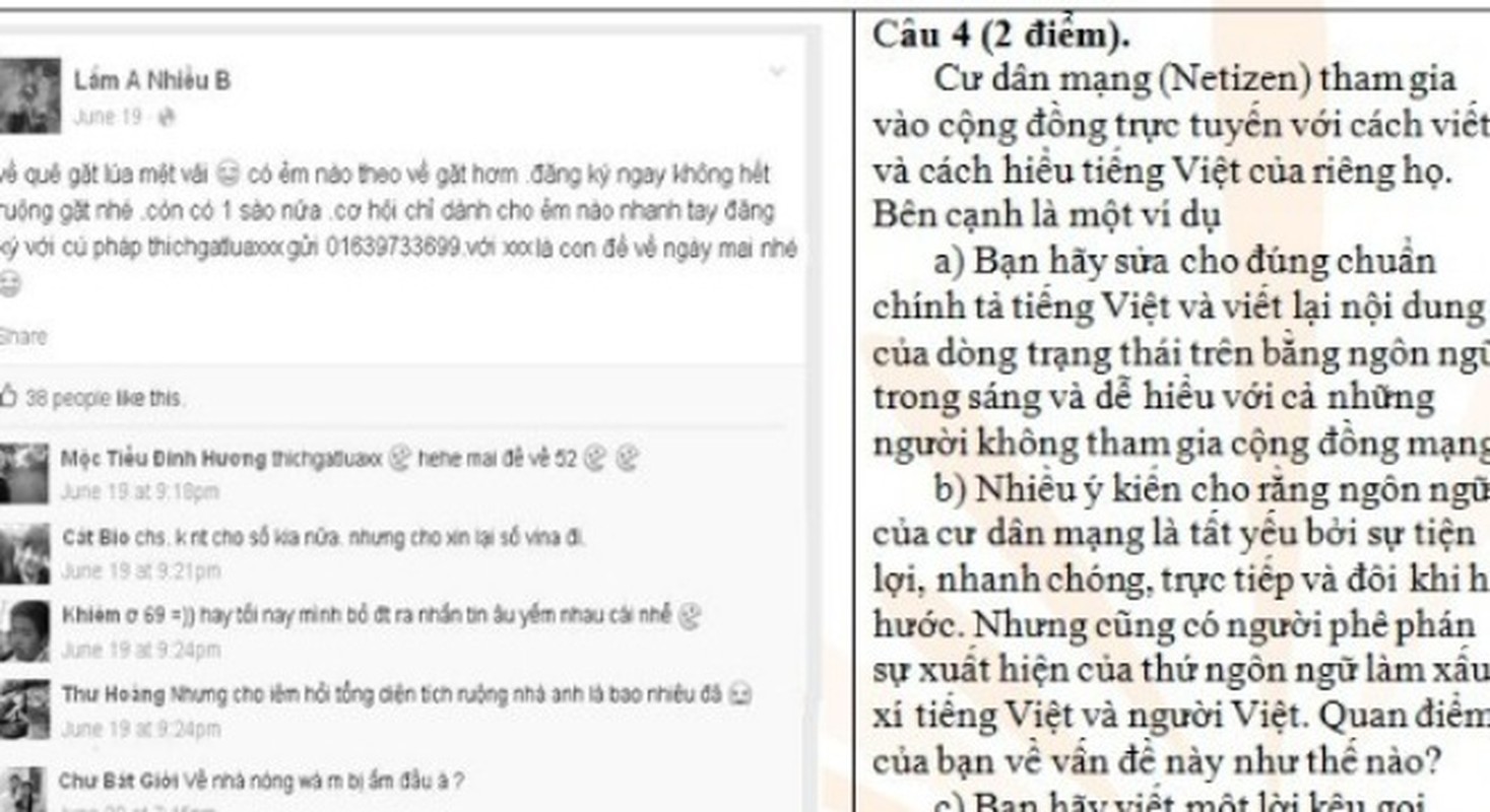 Nhung de thi van vo cung doc, la va sang tao-Hinh-4