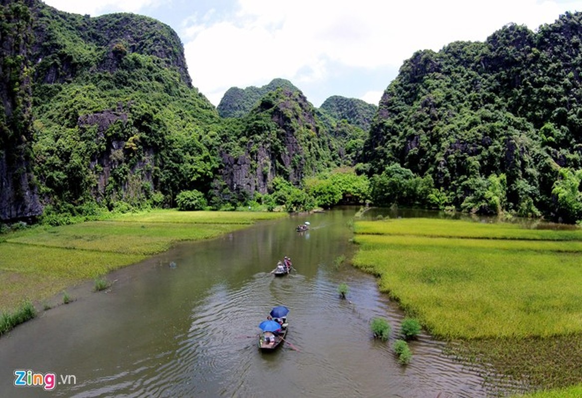 Ngam Tam Coc mua vang ruc ro dep nhu tranh-Hinh-3