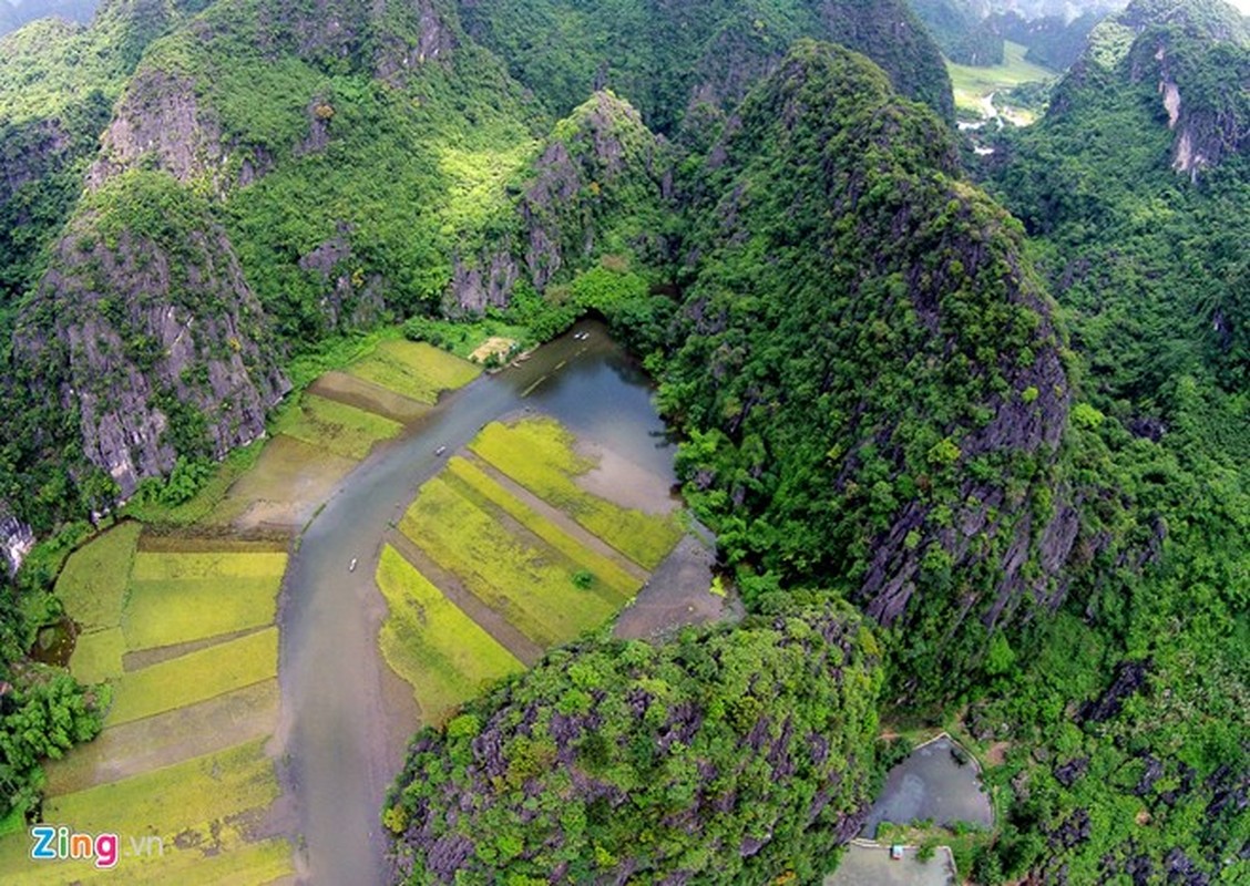 Ngam Tam Coc mua vang ruc ro dep nhu tranh-Hinh-7