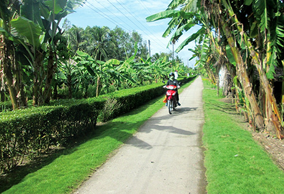 Ngam cong nha doc la chi co o mien Tay-Hinh-6