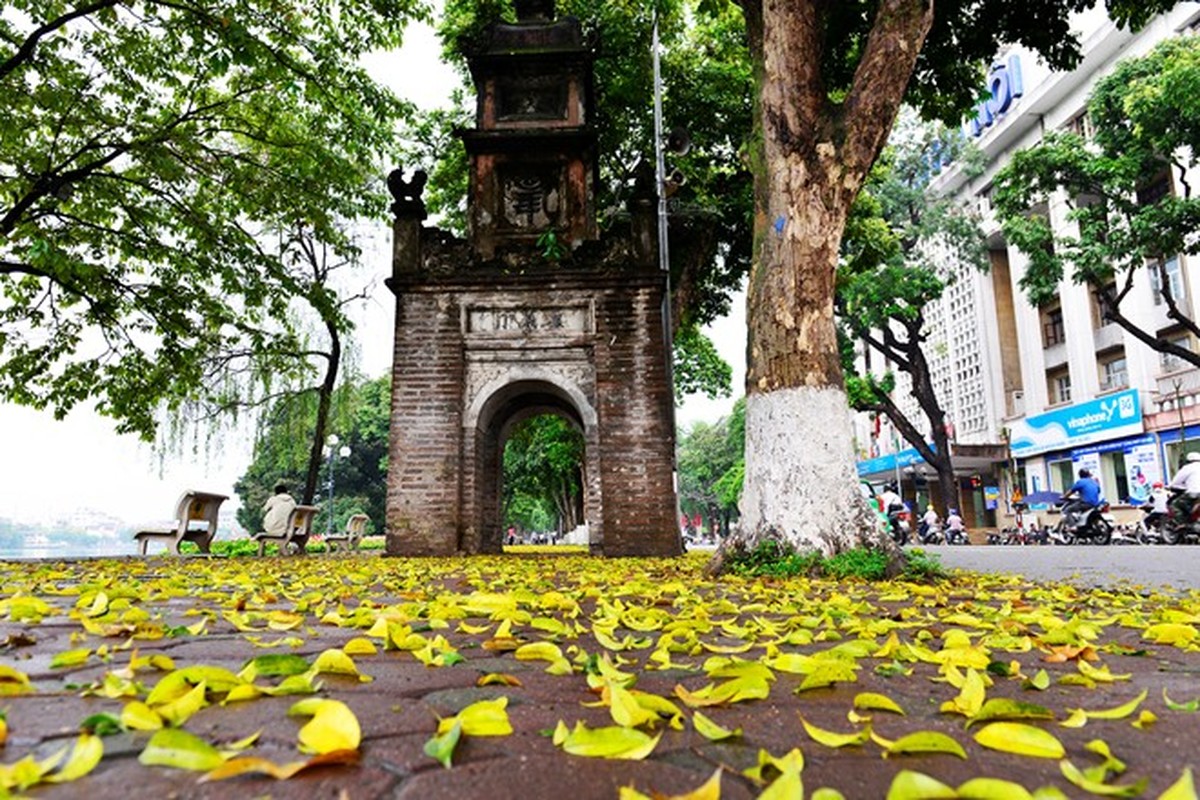 La vang nhuom Ha Noi pho dep den nao long-Hinh-5